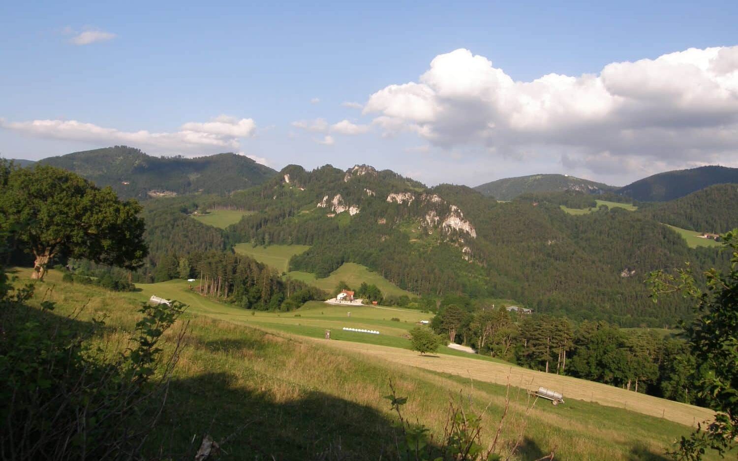 Landschaft Wandern Gasthof Michlwirt